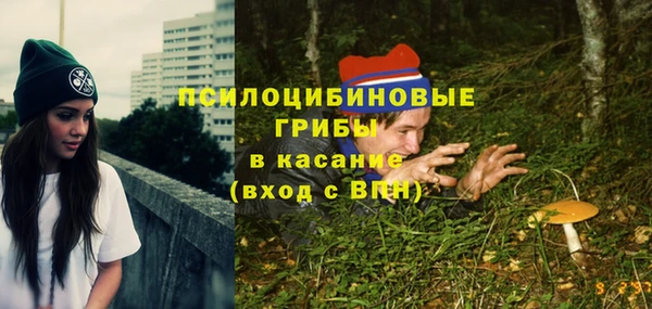 сатива Балабаново