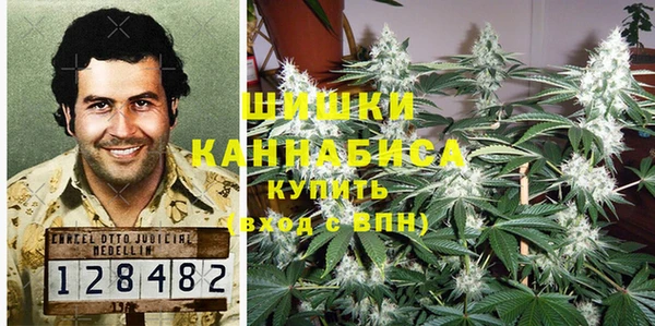 сатива Балабаново