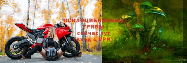 сатива Балабаново