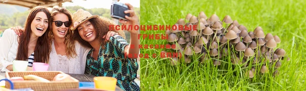сатива Балабаново