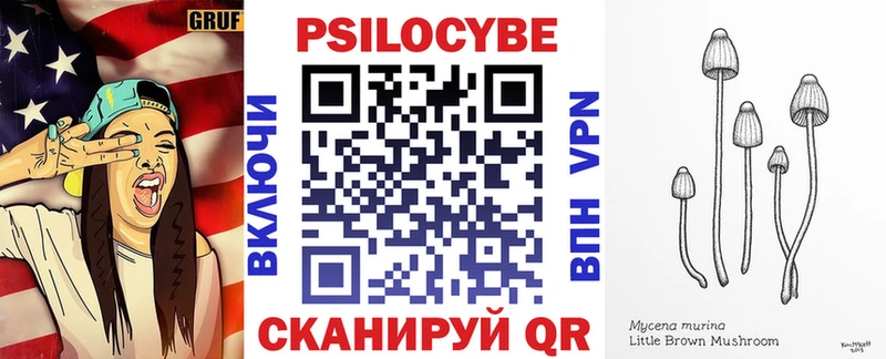 omg маркетплейс  Минеральные Воды  Псилоцибиновые грибы Psilocybine cubensis 