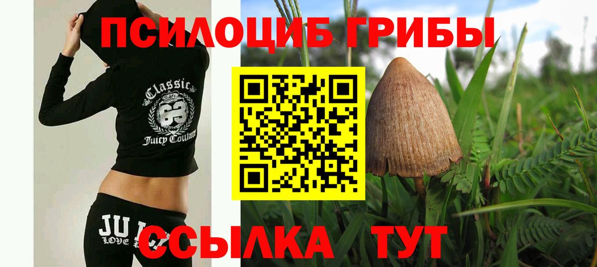 Галлюциногенные грибы мицелий Минеральные Воды