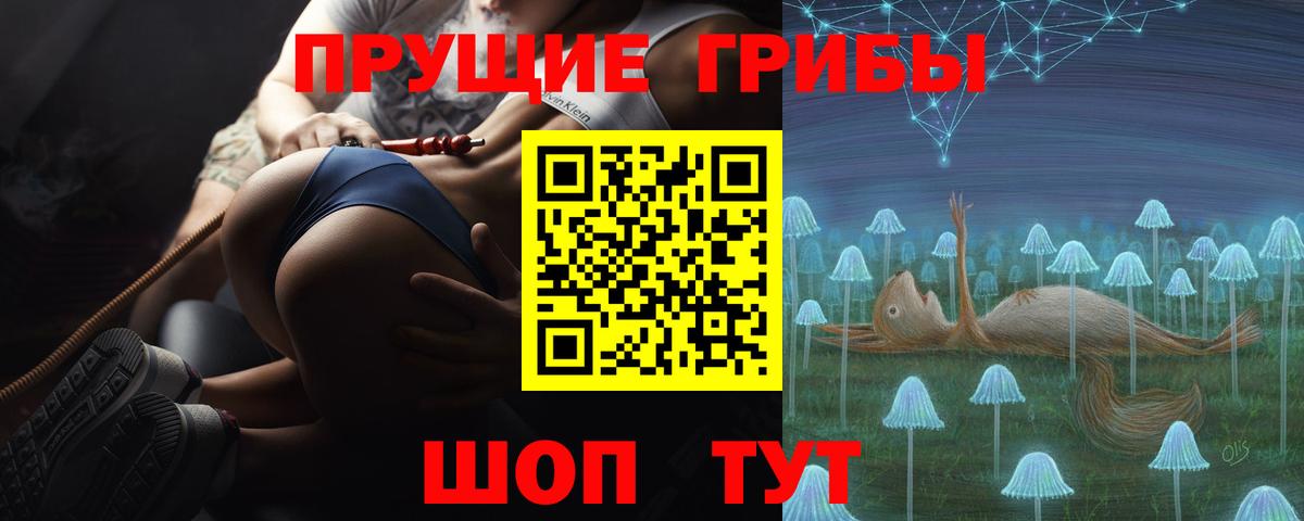 купить наркотик  Галлюциногенные грибы мицелий  Вход с VPN  Минеральные Воды 